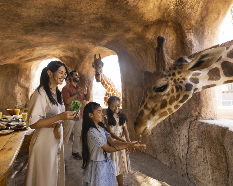 Visitors observing animals in enclosures inside Emirates Park Zoo