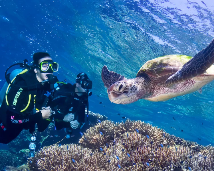 Scuba Diving Australia