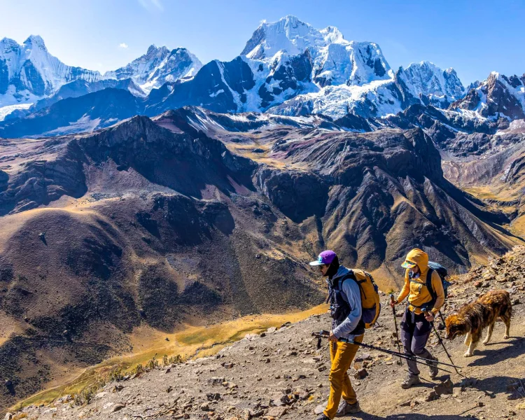 Hikers trekking along the ancient Inca Trail surrounded by lush mountains in Peru