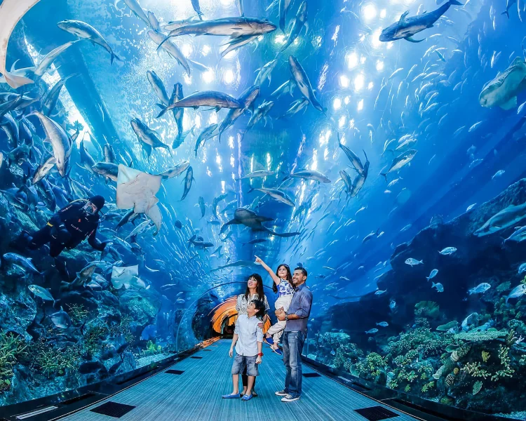 Family observing colorful fish and rays swimming overhead inside the Dubai Aquarium tunnel.