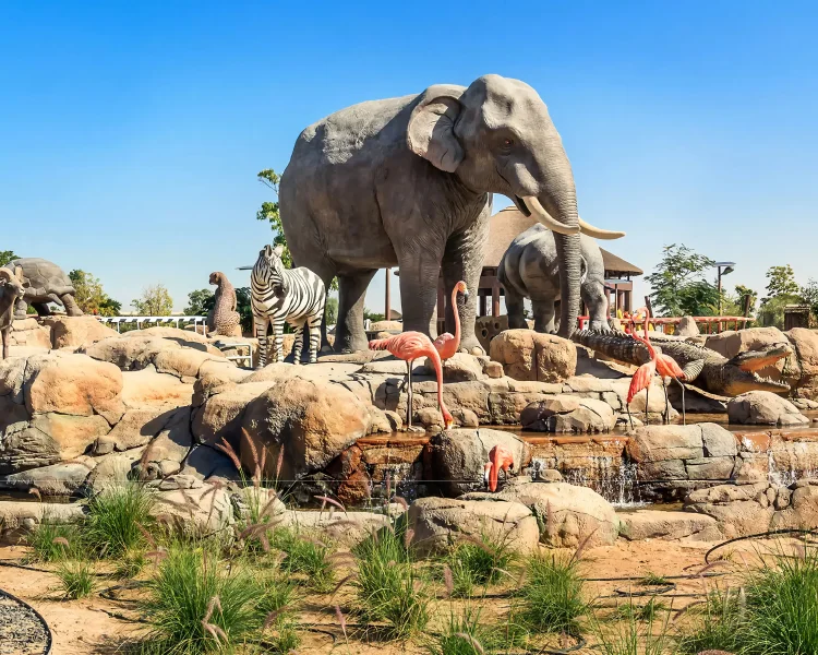 Close-up of diverse wildlife like elephants, deer, and exotic birds in Dubai Safari Park
