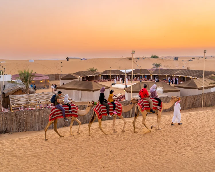 Group of tourists riding camels in the desert at sunset