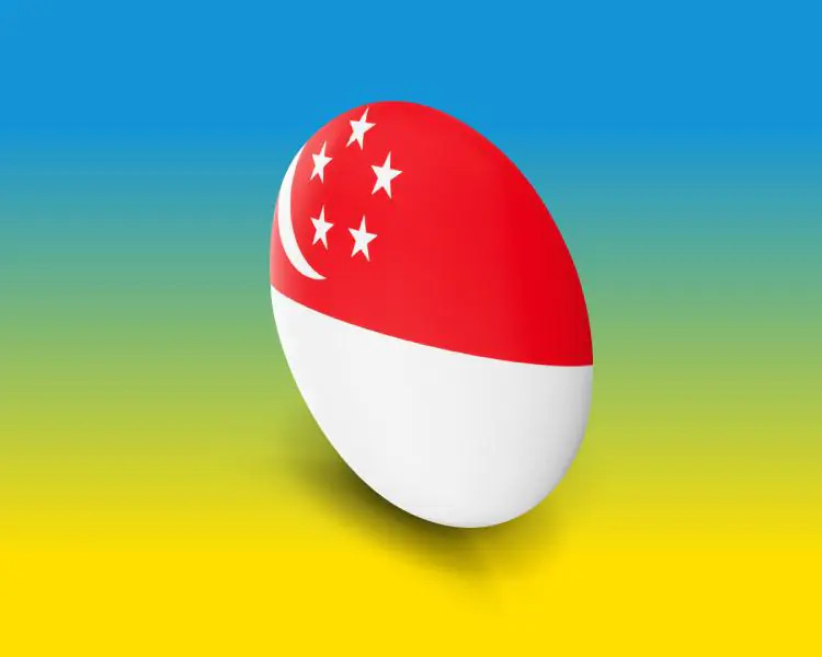 Singapore EVisa from UAE