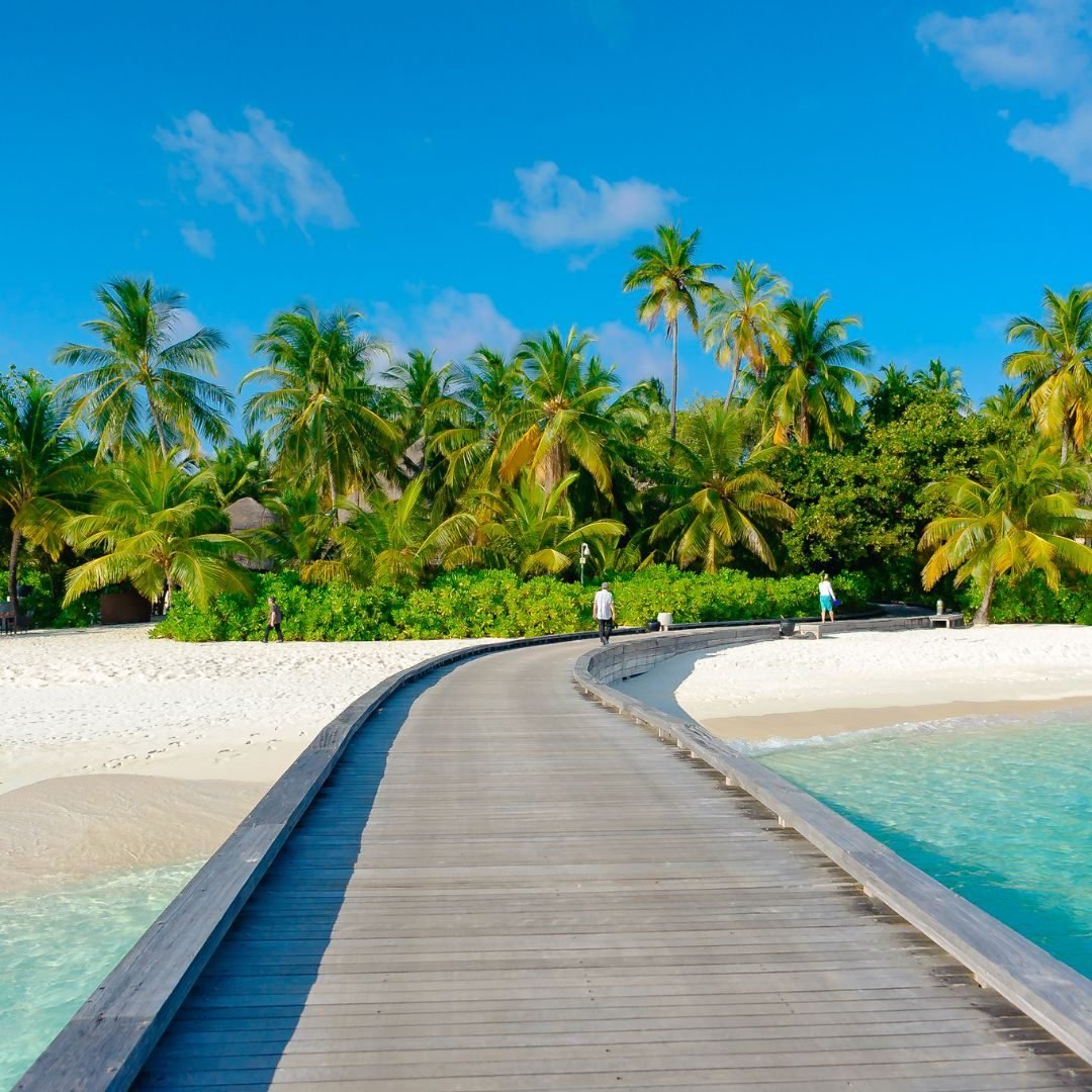 The Island of Tahiti