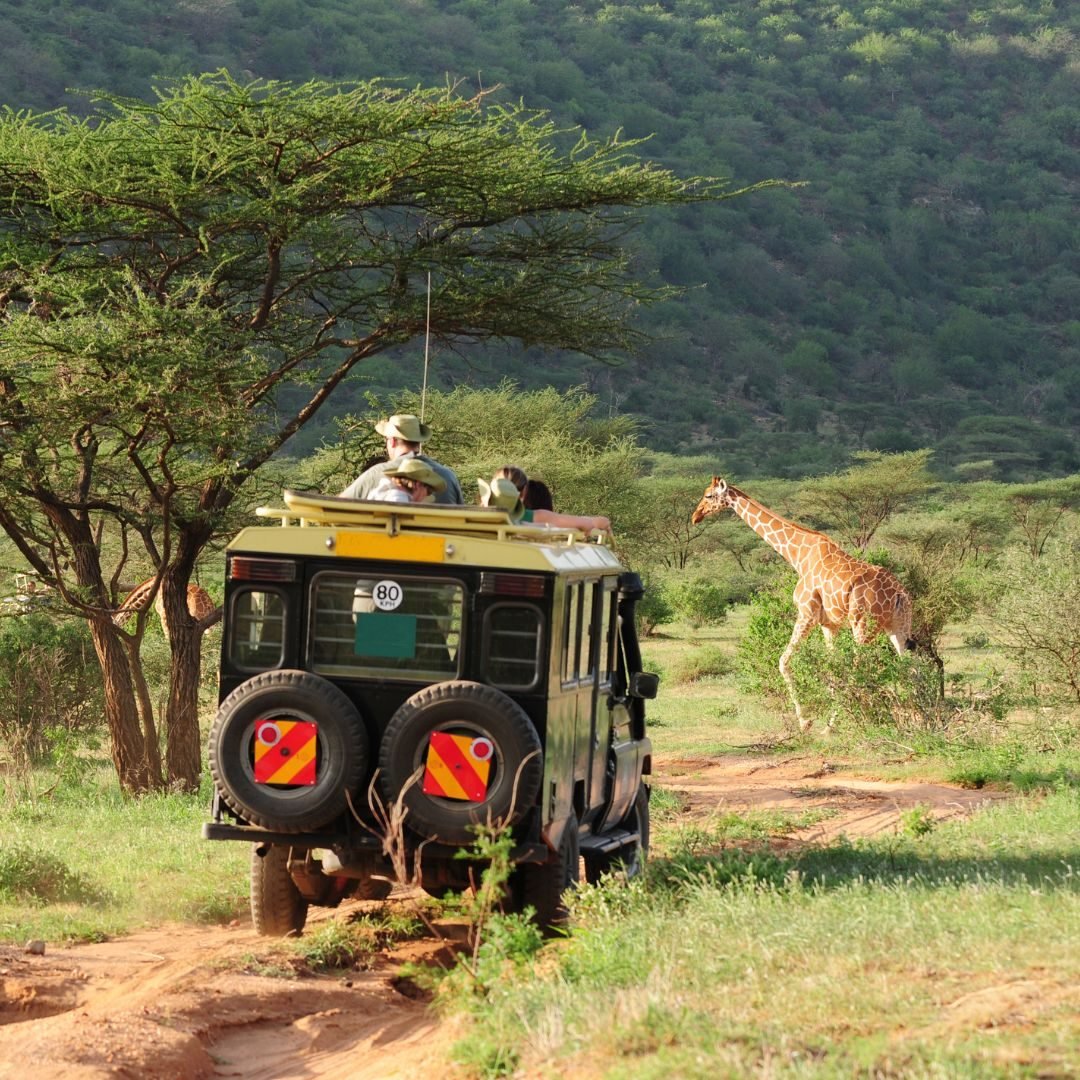 Maasai Mara is a famous National Reserve in Kenya