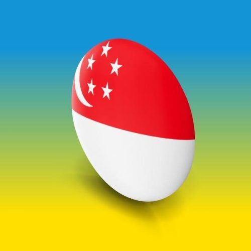 Singapore Visit Visa from UAE